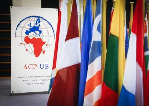  108ème session du Conseil des ministres des pays de d’Afrique-Caraïbes- Pacifique(ACP) à Bruxelles, en Belgique : Vers un nouvel accord de partenariat entre les pays ACP et l'Union Européenne 