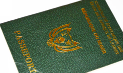Passport Niger